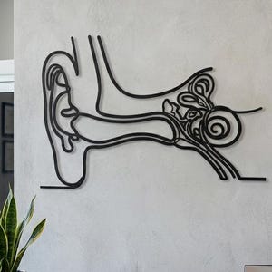 Può includere: Opera d'arte da parete in metallo nero raffigurante un contorno dettagliato dell'anatomia dell'orecchio umano. L'opera è montata su una parete strutturata grigio chiaro. Una pianta in vaso e un bancone di ricevimento in legno sono in primo piano.