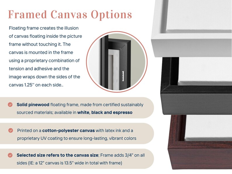 The image is a framed canvas options guide that provides information about different types of framed canvases, including floating frame options, solid pinewood frame options, and printed cotton-polyester canvas options.