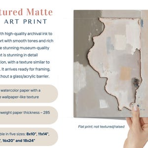 Abstract Illinois State Silhouette Wall Art Print, Modern Minimalist Textured Painting In Neutral Muted Color Artwork, Dusty Pink Gray Decor image 3