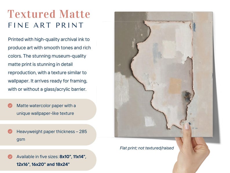 Abstract Illinois State Silhouette Wall Art Print, Modern Minimalist Textured Painting In Neutral Muted Color Artwork, Dusty Pink Gray Decor image 3
