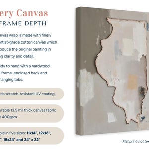 Abstract Illinois State Silhouette Wall Art Print, Modern Minimalist Textured Painting In Neutral Muted Color Artwork, Dusty Pink Gray Decor image 2