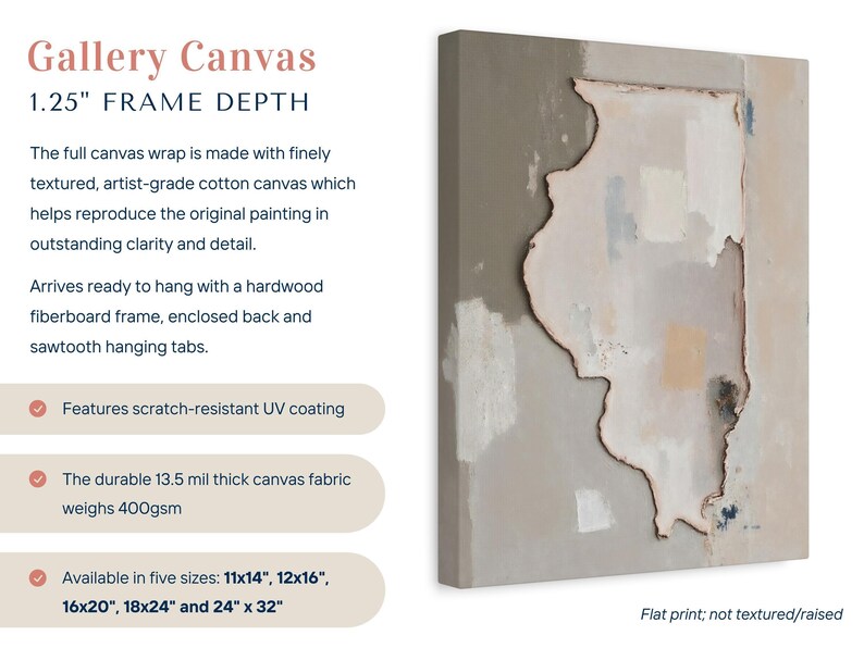 Abstract Illinois State Silhouette Wall Art Print, Modern Minimalist Textured Painting In Neutral Muted Color Artwork, Dusty Pink Gray Decor image 2