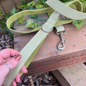 May include: A green and white checkered dog leash with a silver clip. The leash is made of a soft, durable material and is perfect for everyday use.
