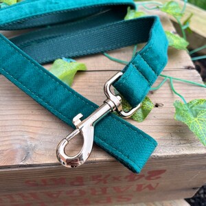 May include: A teal dog leash with a gold-colored metal clasp. The leash is made of a soft, velvety material and is lying on a wooden surface. The leash is designed for pet owners.