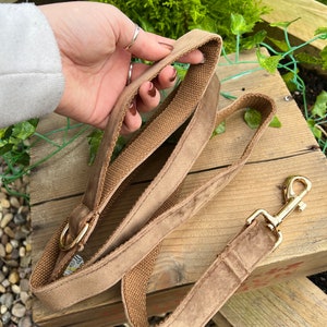 May include: A brown leather dog leash with a gold metal clip. The leash is made of a soft, suede-like material and has a woven fabric lining.