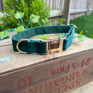 Green velvet dog collar