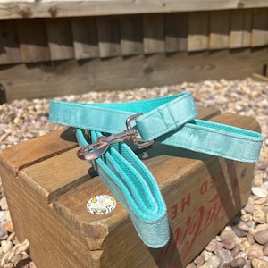 May include: A turquoise blue dog leash with a rose gold metal clasp. The leash is folded in half and lying on a wooden crate.