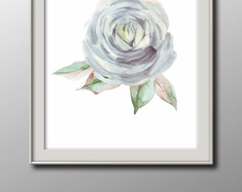rose study no giclee fine art print of watercolor painting 56
