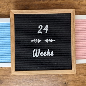 Weekly Pregnancy Announcement Letter Board Icons - Weekly Monthly Photo Props - Milestone Markers - Baby Bump Size Felt Board Accessory