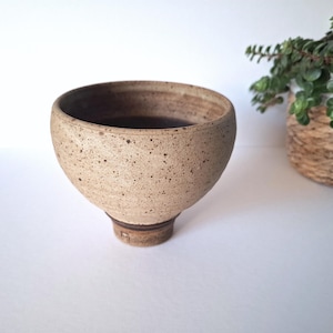 May include: A small, speckled, beige ceramic planter with a brown rim and a brown base. The planter is round and has a wide opening.