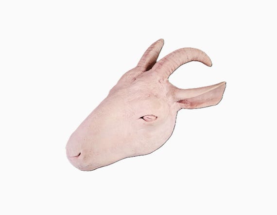 A hand-thrown studio pottery goat head sculpture that is genuinely unsettling and beautiful in equal measure — real craft, zero mass production.