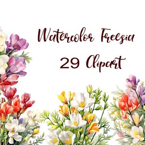 Freesia Watercolor Clipart, Watercolor Freesia Bouquet Clipart, Flora Clip Art, 29 Clipart with 300 dpi PNG