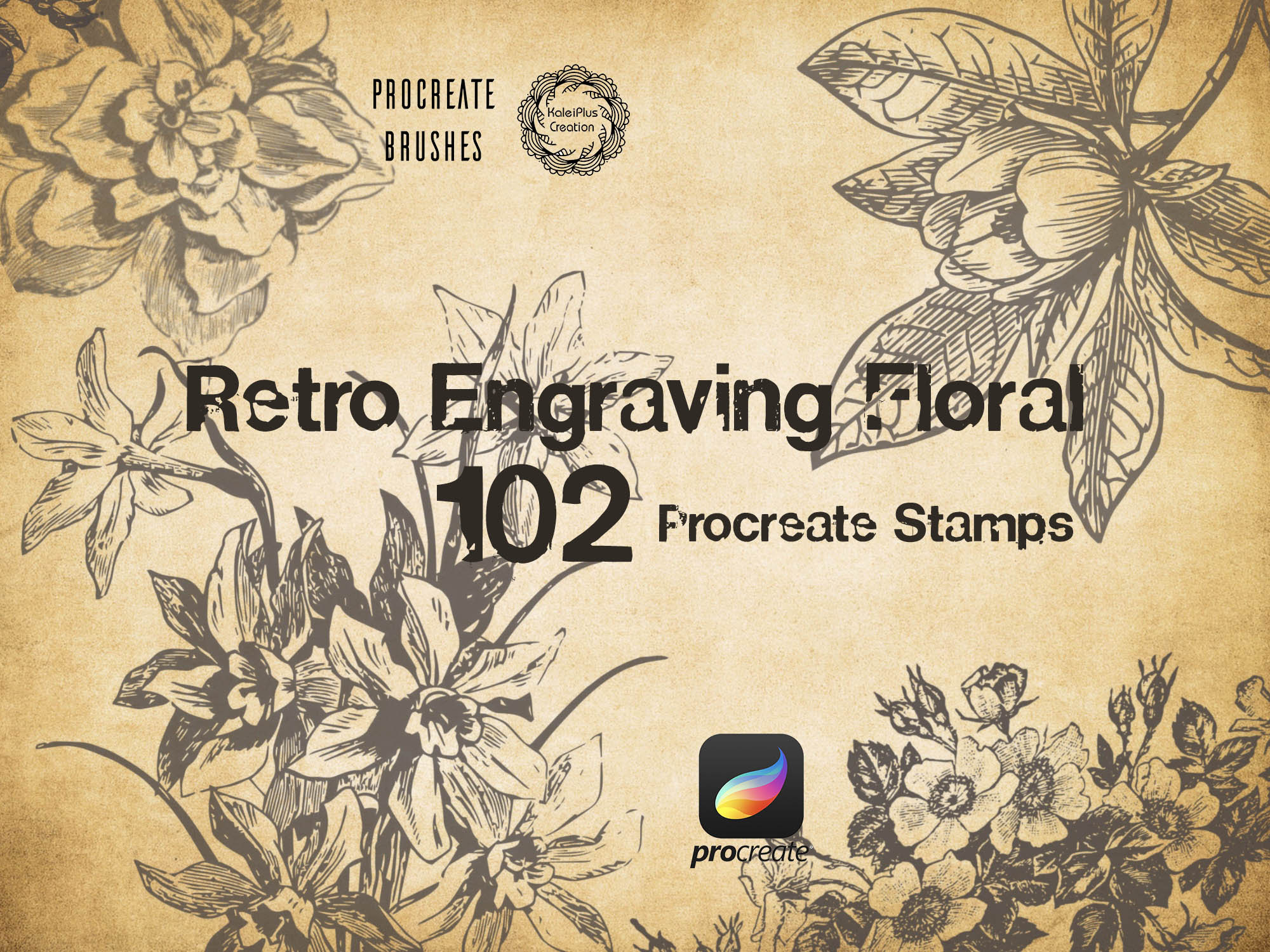 Engraving Floral Procreate Brushes Stampsvintage Floral Etsy UK