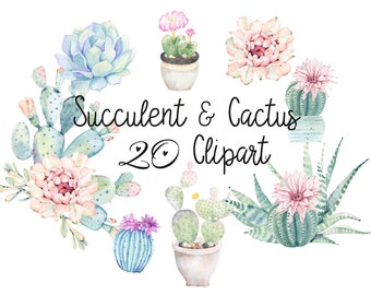 Watercolor Succulent Cactus Clipart,Succulent Watercolor Clipart,Cactus Clip Art, 300 dpi PNG Digital Download