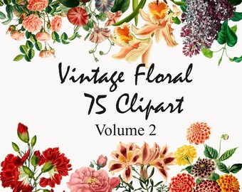 Floral Clipart,Vintage Flower Clipart,Victorian Floral Clip Art, 300 dpi PNG Digital Download, Volume 2