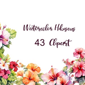 Hibiscus Watercolor Clipart, Watercolor Hibiscus Bouquet Clipart, Flora Clip Art, 43 Clipart with 300 dpi PNG