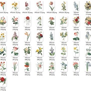 May include: A collection of 72 vintage illustrations of various flowers, each depicted in a separate square frame. The flowers are drawn in a detailed and realistic style, showcasing a variety of colors and species.