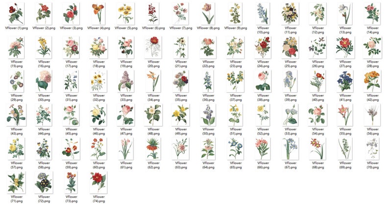 May include: A collection of 72 vintage illustrations of various flowers, each depicted in a separate square frame. The flowers are drawn in a detailed and realistic style, showcasing a variety of colors and species.