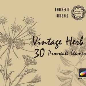 Herbs Procreate Brushes Stamps,Vintage Plant Brushes,Botanical Procreate Brushsets,Procreate Brush Stamps ,Procreate Brush Pack