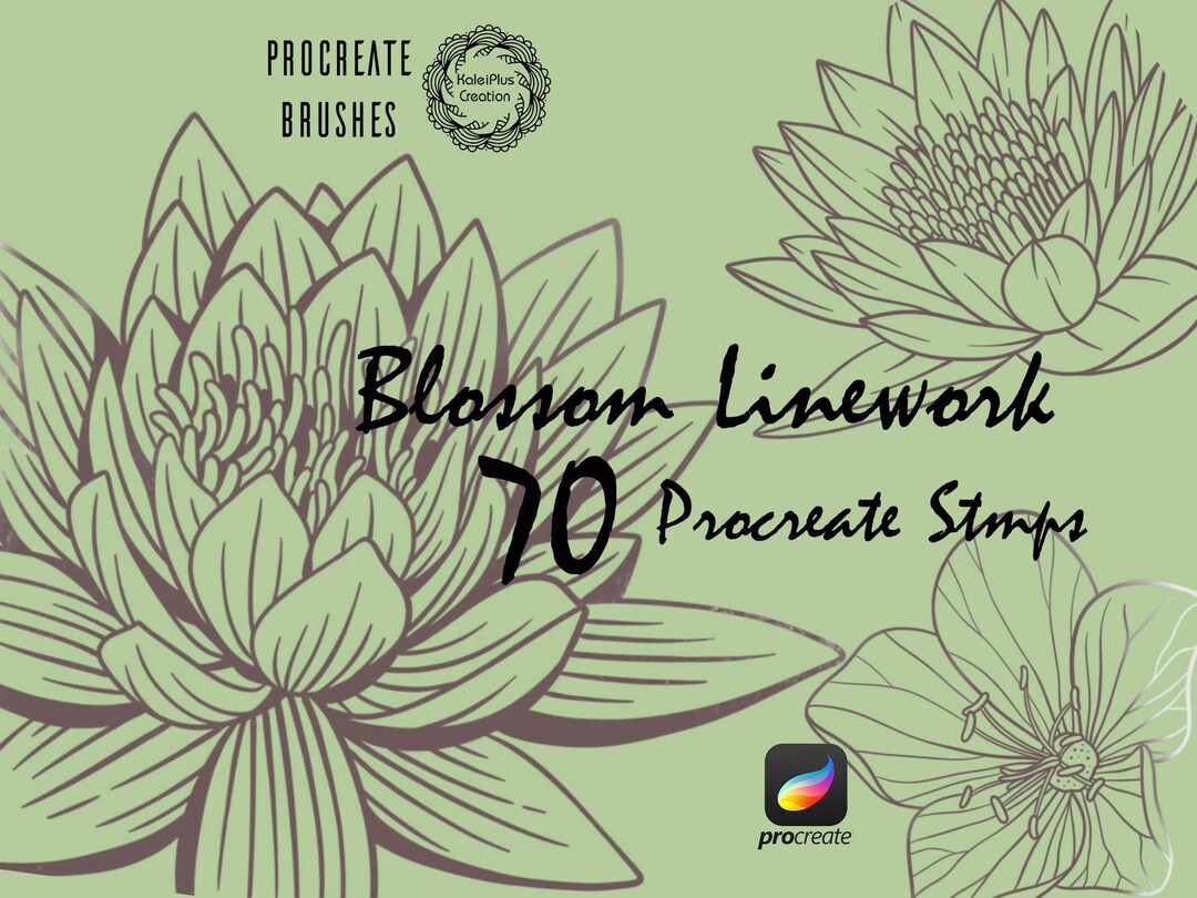 Floral Procreate Brushes Stamps, Botanical Brushes, Flower Linework ...