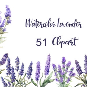 Lavender Watercolor Clipart, Watercolor Botanical Clipart, Flora Clip Art, 51 Clipart with 300 dpi PNG