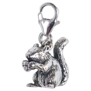 May include: A silver squirrel charm, holding a nut, with a lobster clasp. The charm is designed with intricate detail, showing the squirrel's fur and tail. The clasp allows it to be attached to a bracelet or necklace. The charm is made of silver.