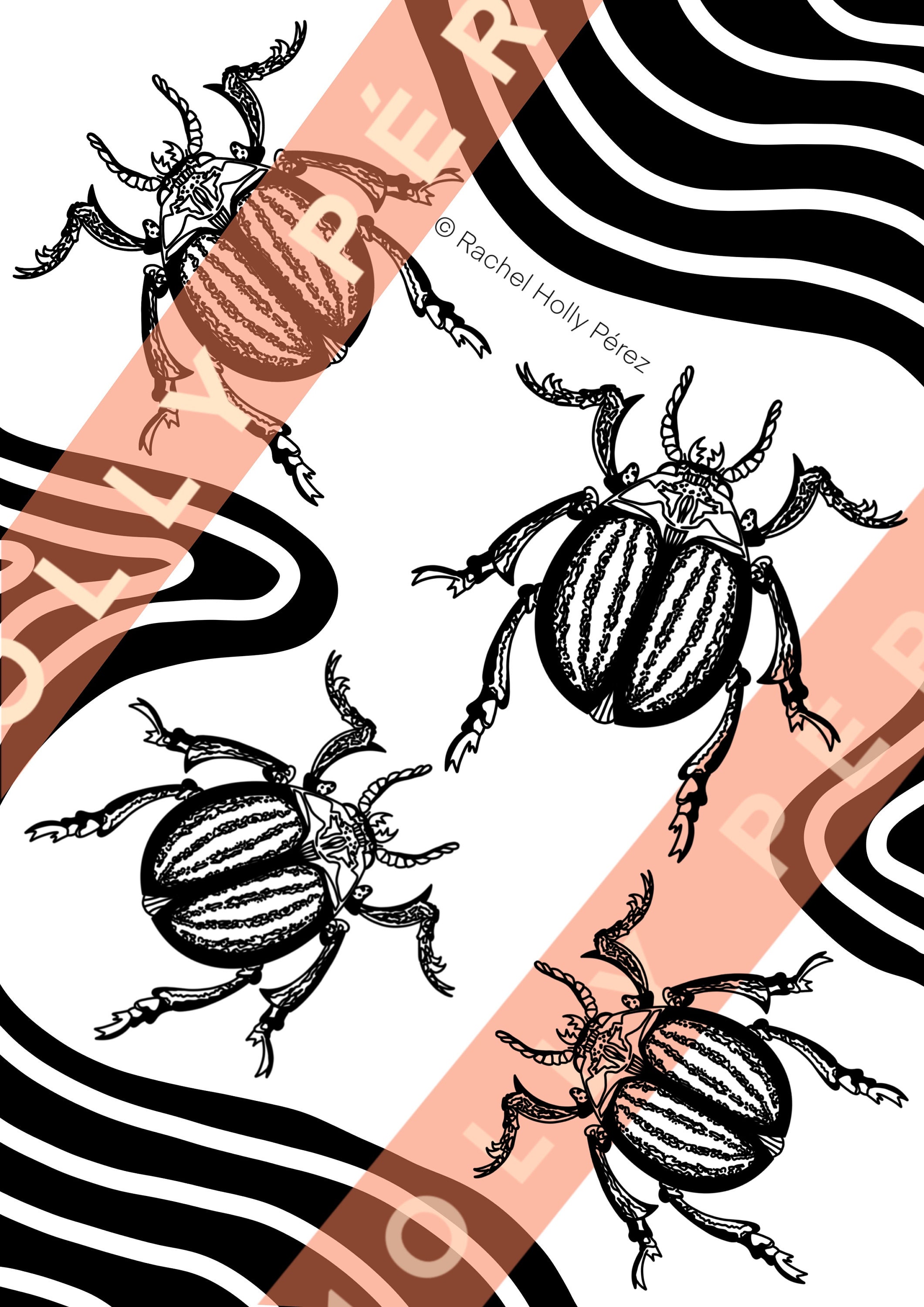Coloring Book of Insects Immediate Download PDF File of - Etsy