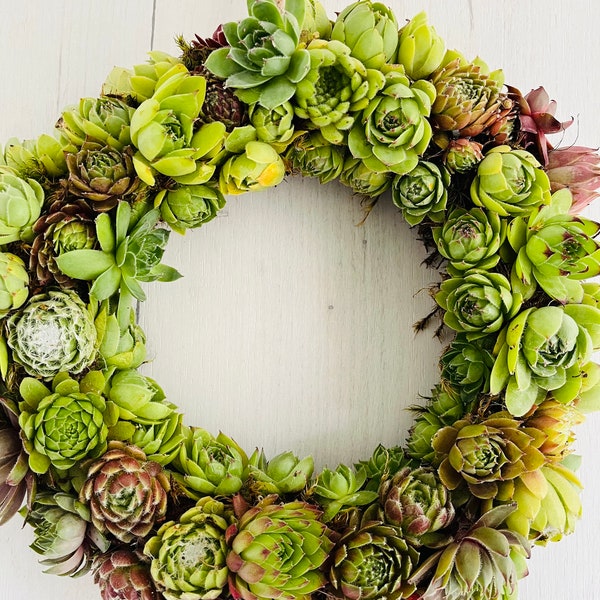 Spring living succulent wreath, Sempervirum vertical garden. Front door wreath. Table center piece. Live botanical decor. ECOfriendly wreath