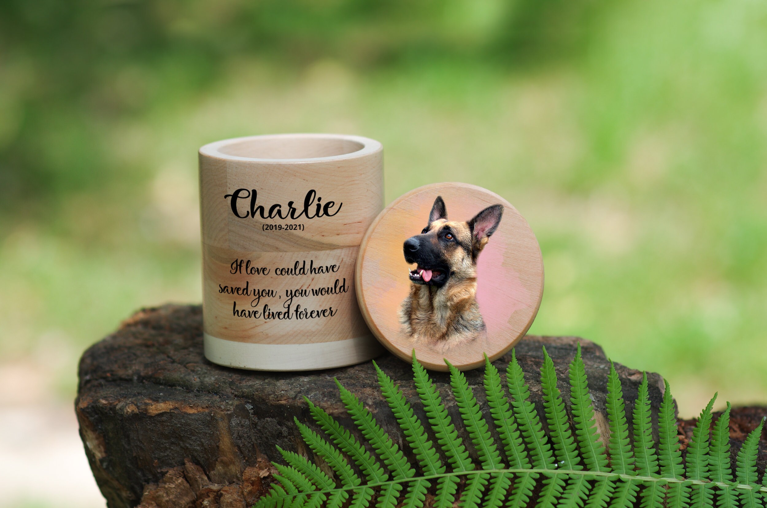 Unique urn for pet ashes with the custom portrait. Urns for Etsy