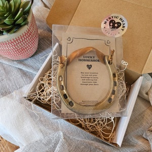 May include: A gold-colored horseshoe with a brown ribbon, presented in a clear box with a card that reads "Lucky Horseshoe." The card includes a message about blessings and happiness. The box is inside a cardboard box.