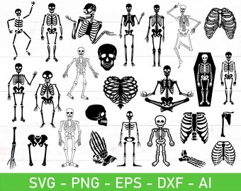 Skeleton svg Bundle, eps, dxf, ai, png, Files For Cricut