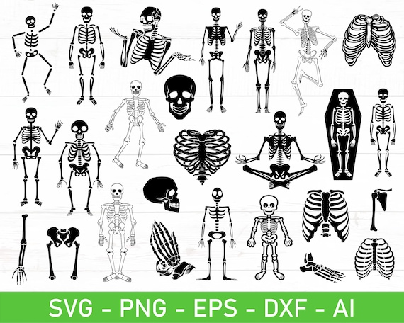 Skeleton Svg Bundle Eps Dxf Ai Png Files for Cricut - Etsy