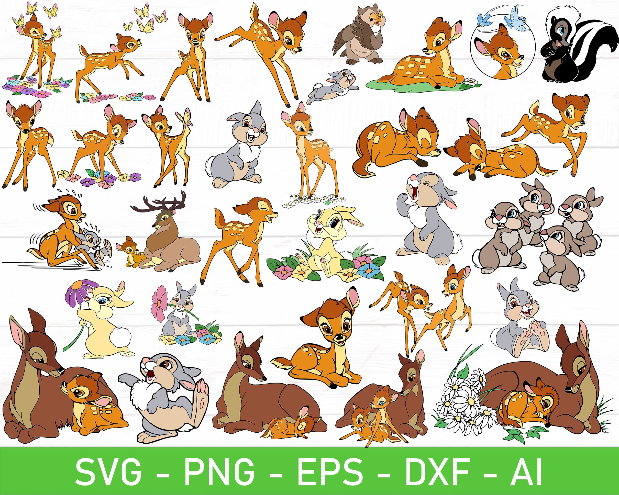 Explore Bambi Doe Stock Video:  New Arrivals - nrwsd09