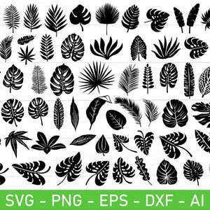 Tropical Leaves SVG Bundle, Tropical Leaf svg, Jungle Leaves svg, Palm Leaf svg, eps, dxf, ai, png, Files For Cricut