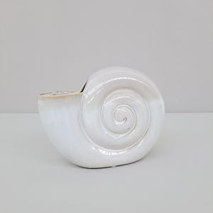 May include: White ceramic seashell planter with a spiral design.