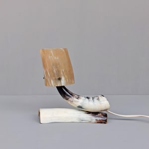 Könnte beinhalten: Eine einzigartige Tischlampe aus einem Naturhorn. Die Lampe hat einen hellfarbigen Schirm und einen gebogenen Hornfuß mit rechteckiger Stütze. Das Horn hat eine Mischung aus Braun-, Weiß- und Schwarztönen. Ein weißes Kabel erstreckt sich von der Basis.