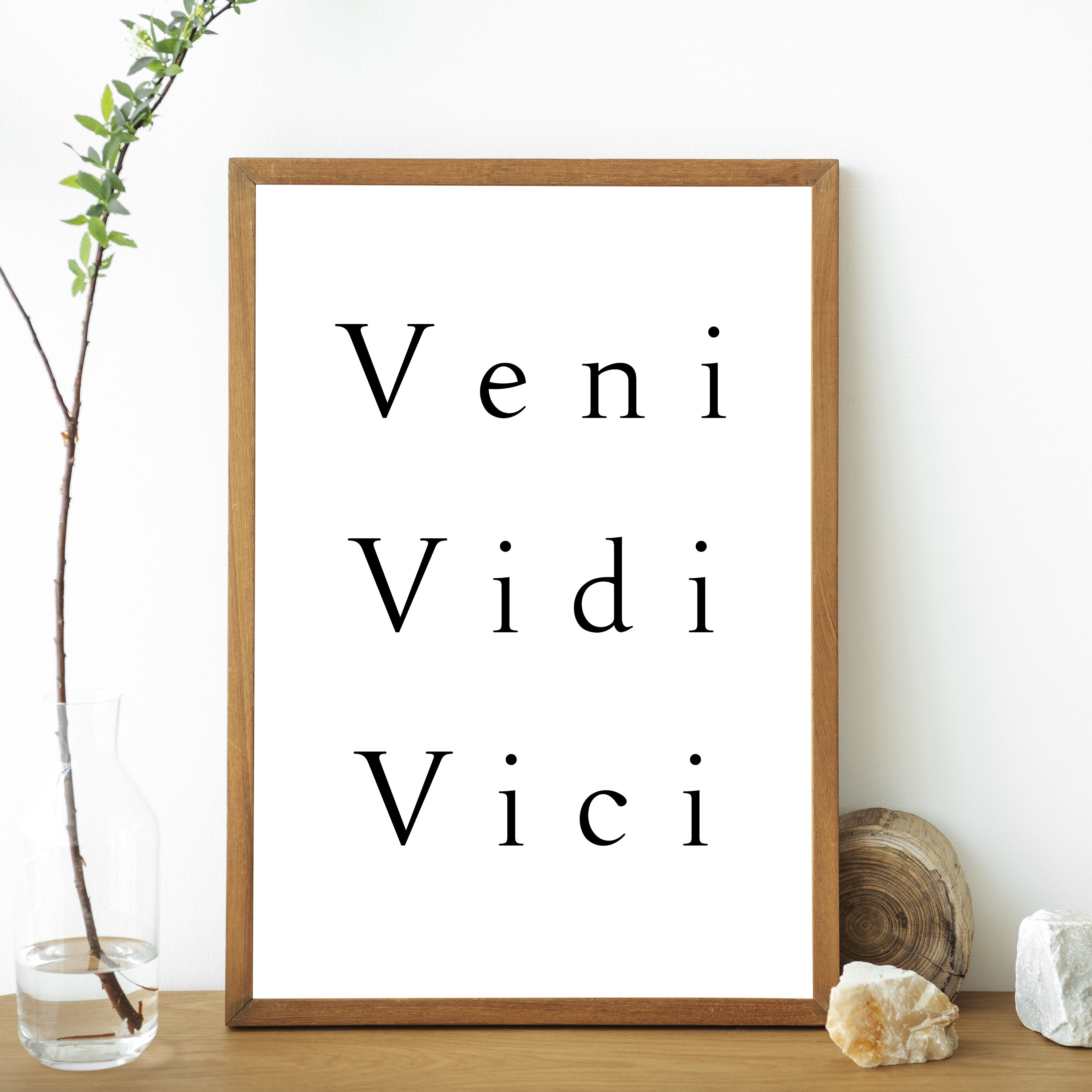 veni vidi vici quote | Art Print