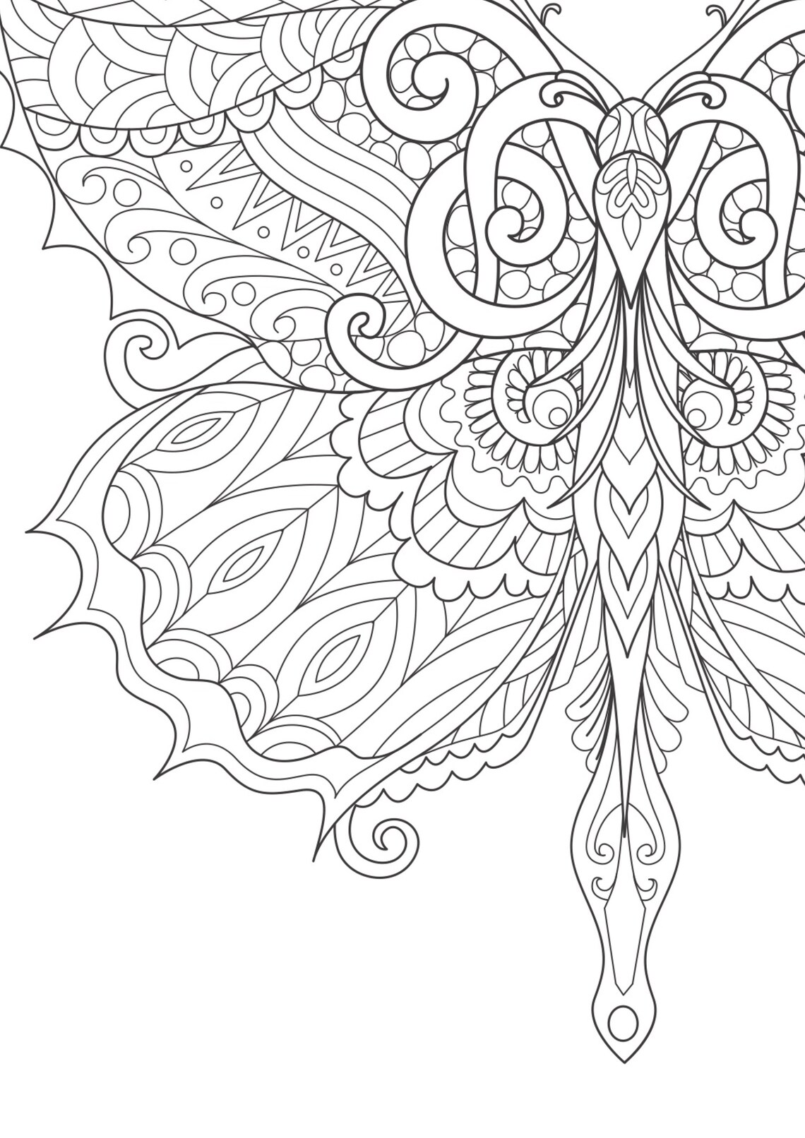 Beautiful Mandala Butterfly Colouring sheet // Adult Colouring | Etsy