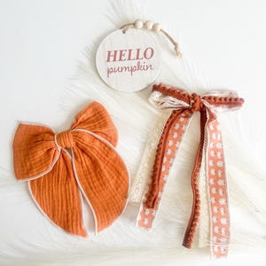 May include: Two orange hair bows with white trim and a decorative ribbon bow with a pumpkin pattern and lace. A wooden round sign with the text "HELLO pumpkin" is also included.