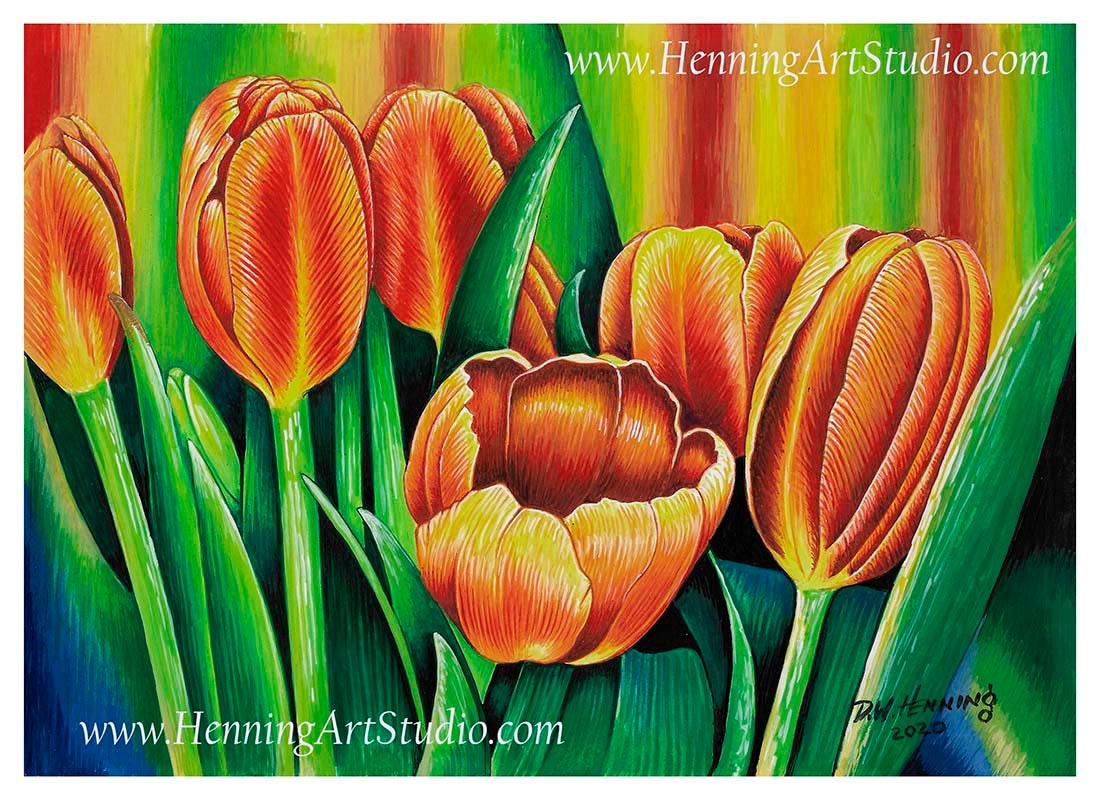 0054 tulips 8x11