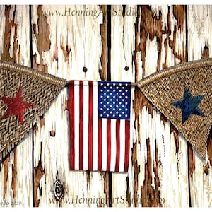 0044 USA flag 11x14