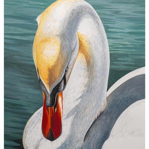 0741 White Swan 9x12