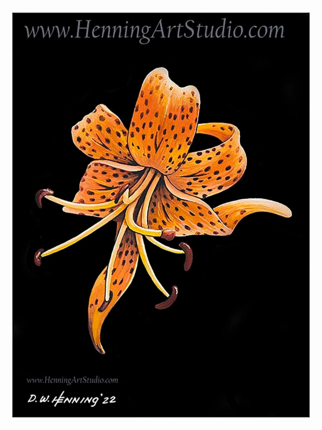 0068 Tiger Lily 6x8 - Etsy