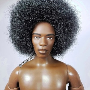 Barbie Looks AA Ken Doll Afro Customized