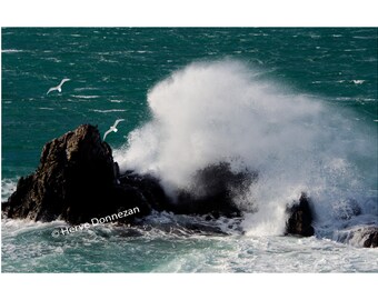 Navy, Seagull, Tempete, Wave, Wind, Landscape, Shore