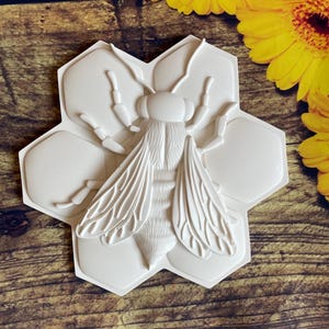 May include: White ceramic mould of a bee on a honeycomb. The mould is detailed and realistic, with the bee's wings, legs, and body clearly visible.
