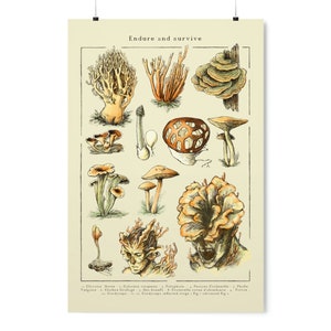 Cordyceps Poster - The last of us Art Print - Joel and Ellie - Endure and survive - Mushrooms wall Art