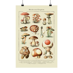 Super Mario Mushrooms Poster - Mario Bros Art Print - Luigi Mario Peach Toad Browser Yoshi - Retro gamer power up - Mushrooms wall Art