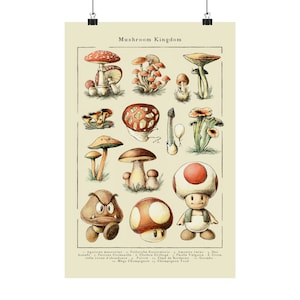 Poster Super Mario Mushrooms - impression d'art Mario Bros - Luigi Mario Peach Toad Browser Yoshi - mise sous tension gamer rétro - art mural champignons