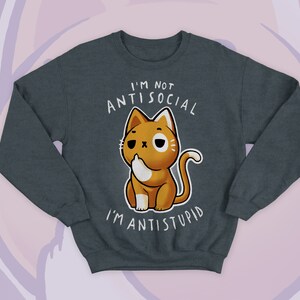 May include: Dark gray sweatshirt with a cartoon cat illustration. The orange cat has a white belly and is giving the middle finger. The text above the cat reads "I'M NOT ANTISOCIAL" and below the cat reads "I'M ANTISTUPID".